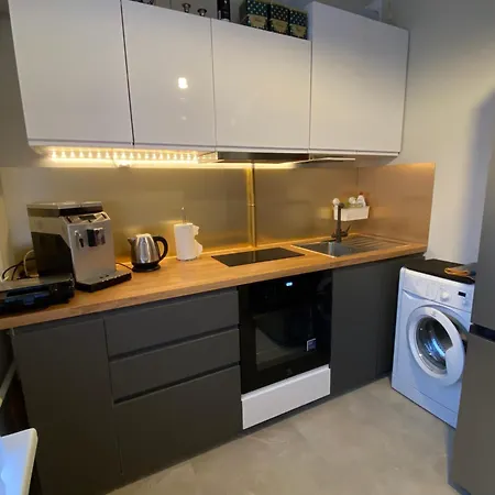 דירה Alexriga ריגה